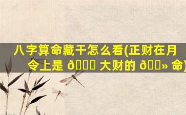 八字算命藏干怎么看(正财在月令上是 🐕 大财的 🌻 命)